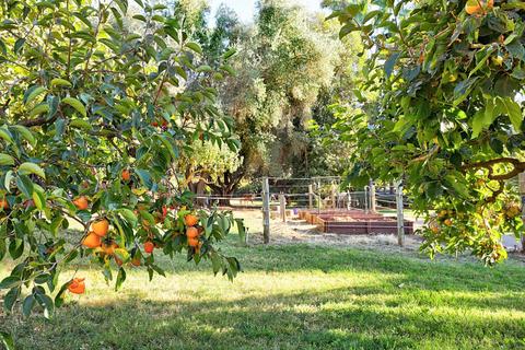 2569 Frontier Rd, Auburn, CA 95603 photo 66