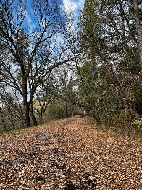 16635 Old State Hwy, Grass Valley, CA 95949 photo 25