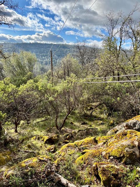16635 Old State Hwy, Grass Valley, CA 95949 photo 19