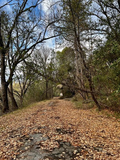 16635 Old State Hwy, Grass Valley, CA 95949 photo 24