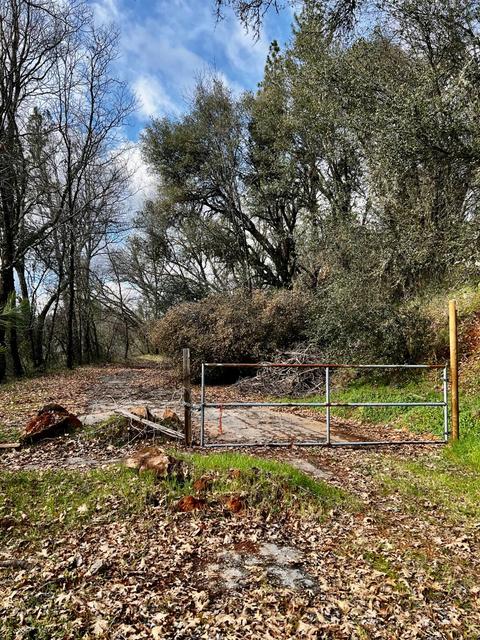 16635 Old State Hwy, Grass Valley, CA 95949 photo 27