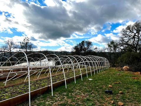 16635 Old State Hwy, Grass Valley, CA 95949 photo 4