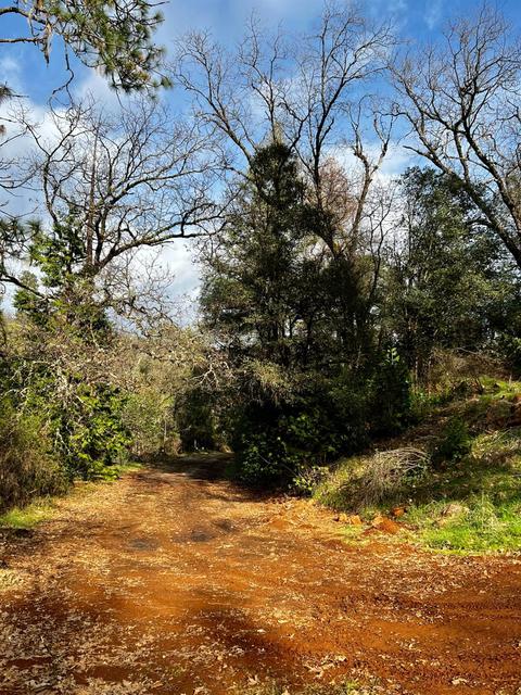 16635 Old State Hwy, Grass Valley, CA 95949 photo 23