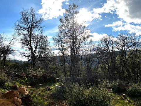 16635 Old State Hwy, Grass Valley, CA 95949 photo 14