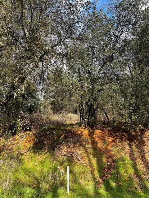 16635 Old State Hwy, Grass Valley, CA 95949 photo 29