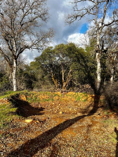 16635 Old State Hwy, Grass Valley, CA 95949 photo 11