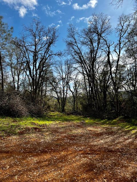 16635 Old State Hwy, Grass Valley, CA 95949 photo 20