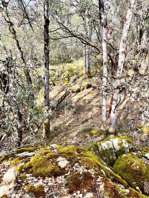 16635 Old State Hwy, Grass Valley, CA 95949 photo 17