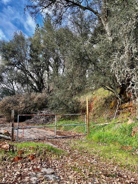 16635 Old State Hwy, Grass Valley, CA 95949 photo 28