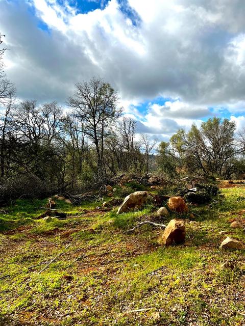 16635 Old State Hwy, Grass Valley, CA 95949 photo 12