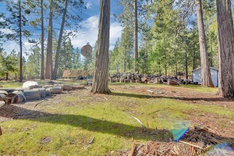 25542 Overland Dr, Volcano, CA 95689 photo 28