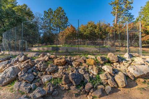 13474 Marko Ln, Pine Grove, CA 95665 photo 39