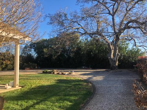 1087 I St, Williams, CA 95987 photo 11