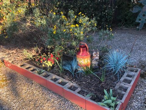 1087 I St, Williams, CA 95987 photo 44