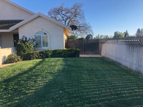 1087 I St, Williams, CA 95987 photo 4