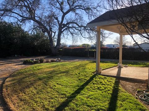 1087 I St, Williams, CA 95987 photo 14