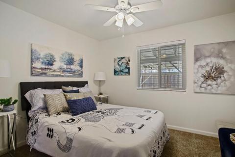 256 Shilling Ave, Lathrop, CA 95330 photo 20