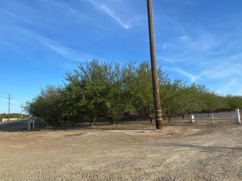 16460 Locust Ave, Patterson, CA 95363 photo 2