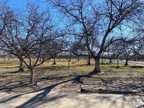 5119 Beckwith Rd, Modesto, CA 95358 photo 3