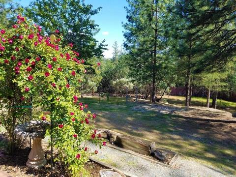 11761 View Dr, Grass Valley, CA 95945 photo 48