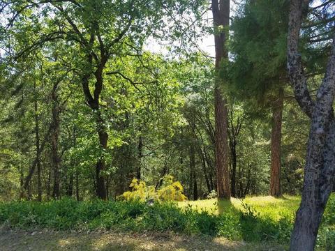 11761 View Dr, Grass Valley, CA 95945 photo 59