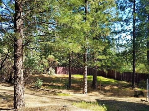 11761 View Dr, Grass Valley, CA 95945 photo 53