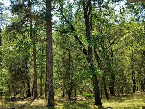 11761 View Dr, Grass Valley, CA 95945 photo 54