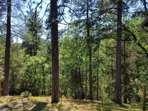 11761 View Dr, Grass Valley, CA 95945 photo 52