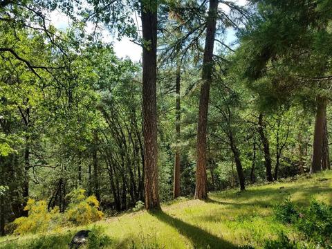 11761 View Dr, Grass Valley, CA 95945 photo 57