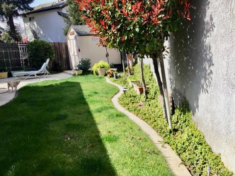1331 Pippen Ln, Lodi, CA 95242 photo 11