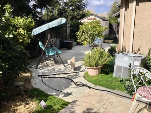 1331 Pippen Ln, Lodi, CA 95242 photo 8