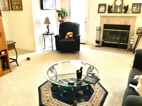 1331 Pippen Ln, Lodi, CA 95242 photo 20