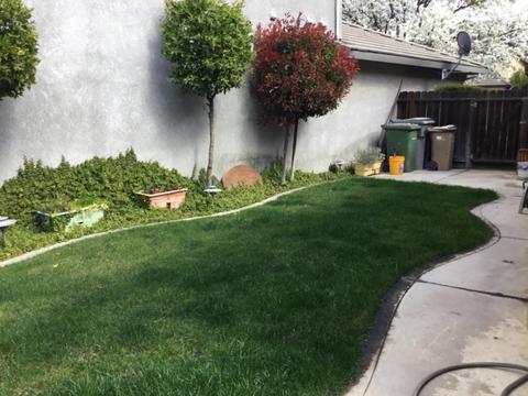 1331 Pippen Ln, Lodi, CA 95242 photo 7