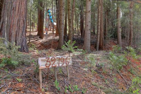 32796 Ridge Rd, Dutch Flat, CA 95714 photo 34
