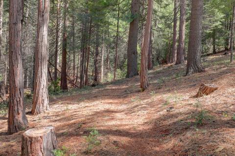 32796 Ridge Rd, Dutch Flat, CA 95714 photo 47