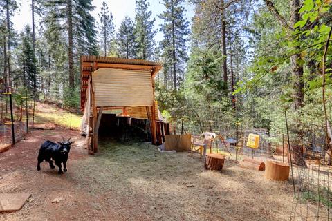 32796 Ridge Rd, Dutch Flat, CA 95714 photo 45