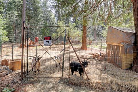 32796 Ridge Rd, Dutch Flat, CA 95714 photo 44