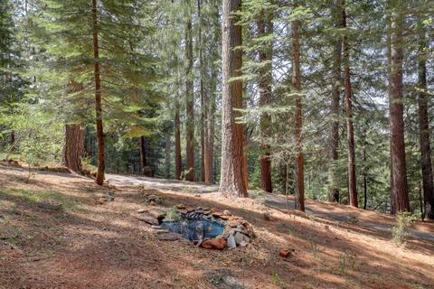32796 Ridge Rd, Dutch Flat, CA 95714 photo 42