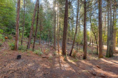 17017 Oregon Hill Rd, Challenge, CA 95925 photo 44