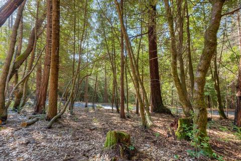 17017 Oregon Hill Rd, Challenge, CA 95925 photo 51