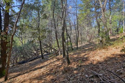 4433 Fairglade Rd, Placerville, CA 95667 photo 35