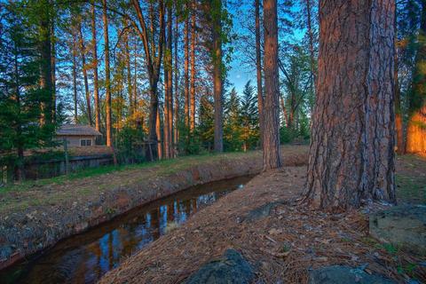 17072 Norlene Way, Grass Valley, CA 95949 photo 38