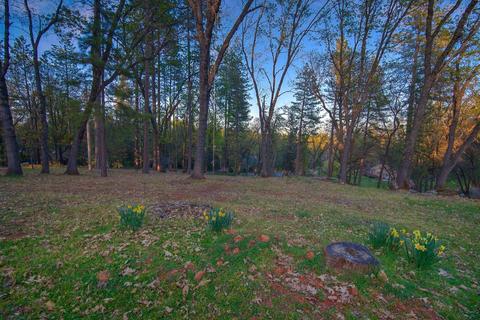 17072 Norlene Way, Grass Valley, CA 95949 photo 39