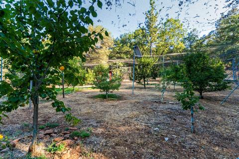 2081 Camelot Ct, Placerville, CA 95667 photo 51