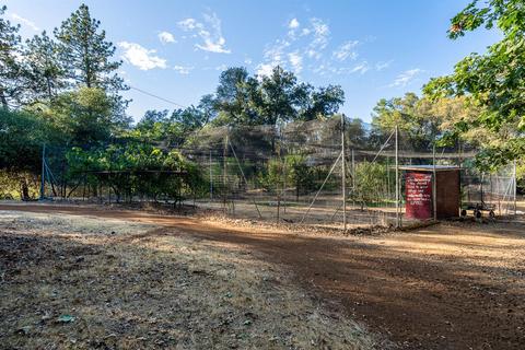 2081 Camelot Ct, Placerville, CA 95667 photo 48