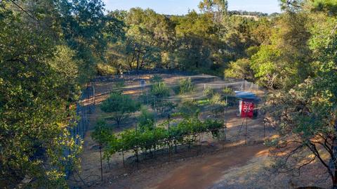 2081 Camelot Ct, Placerville, CA 95667 photo 46