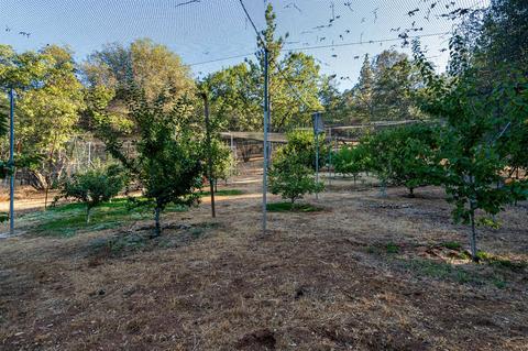 2081 Camelot Ct, Placerville, CA 95667 photo 52