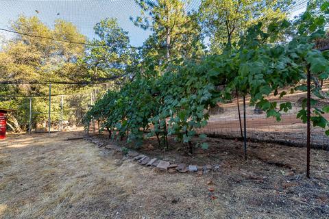 2081 Camelot Ct, Placerville, CA 95667 photo 50