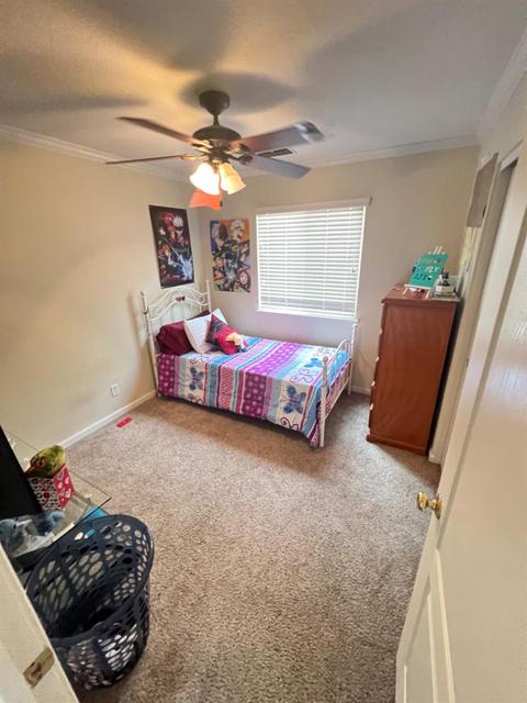 2400 Tea Rose St, Turlock, CA 95382 photo 10