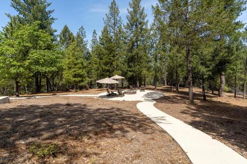 8437 Balderston Rd, Georgetown, CA 95634 photo 22